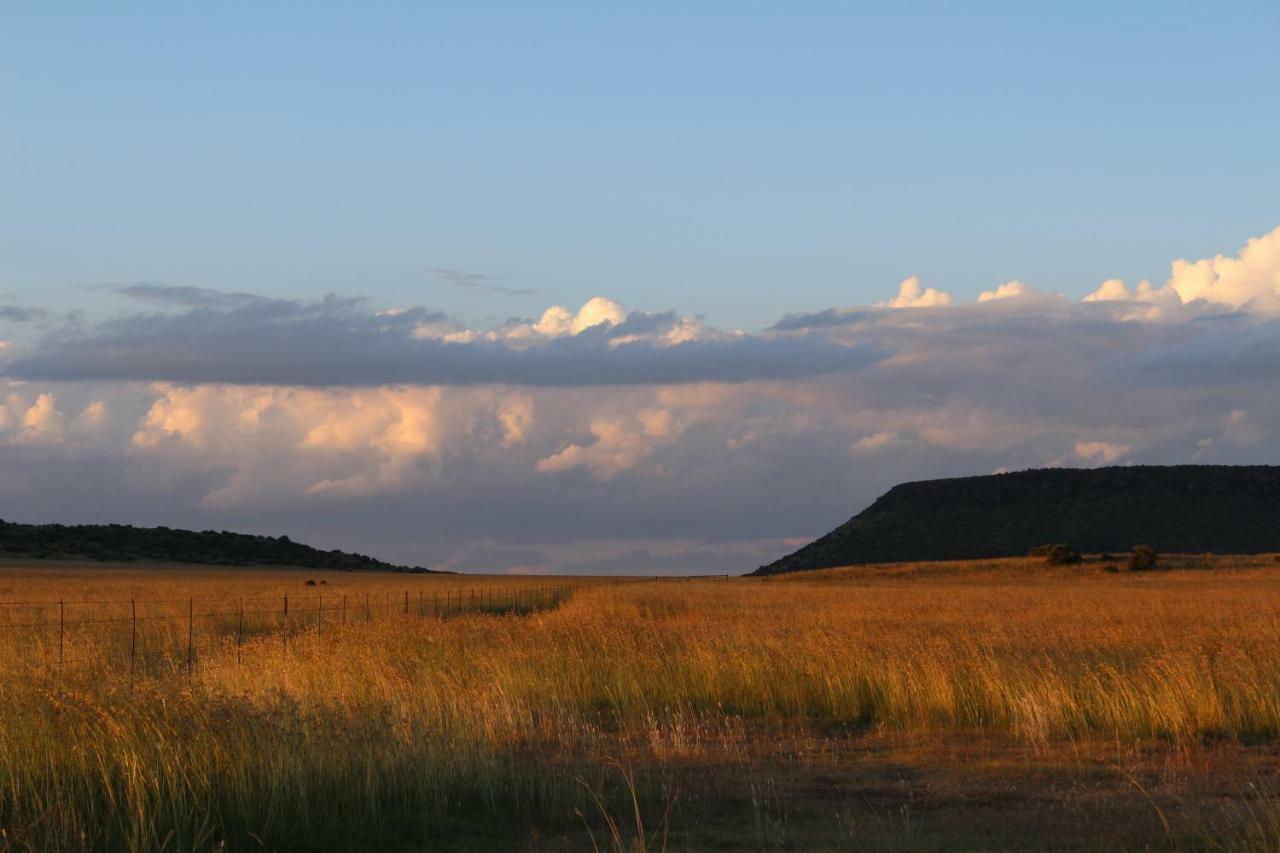 Отель Hillside Farm Trompsburg Экстерьер фото